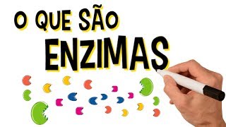 ✅ O QUE SÃO ENZIMAS [upl. by Ettenawtna]