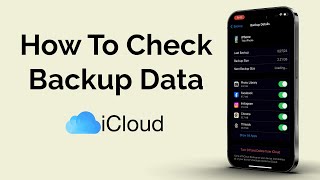 How To Check iCloud Backup Data [upl. by Cowey]