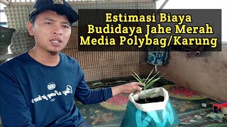 Estimasi Biaya Budidaya Jahe Merah Media PolybagKarung [upl. by Dnilazor374]