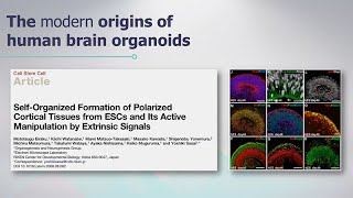 Brain Organoids and Robotics  AI  Sanford Stem Cell Symposium [upl. by Wernick833]