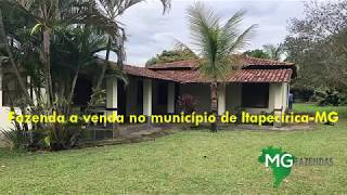 Fazenda de 80 hectares a venda no município de ItapecericaMG [upl. by Anayd]