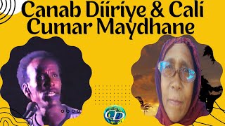 Canab Diiriye amp Cali Cumar Maydhane  Heestii Sida Geenyo Shaaximan [upl. by Shiri]