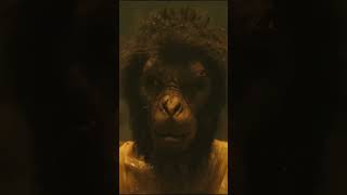 This movie got bannexed in india 💔  The monkey man [upl. by Siletotsira]