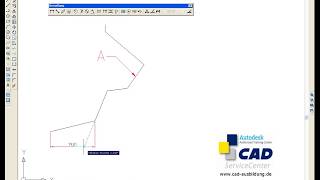 AutoCAD  schnell sauber und genau Bemaßungen eintragen [upl. by Odrareg925]