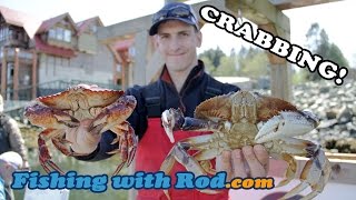 How to Fish Crabbing in Vancouver [upl. by Katzen501]