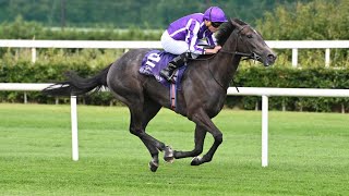 Potential star BEDTIME STORY comfortably maintains unbeaten record at Leopardstown [upl. by Dott]