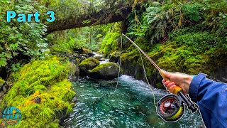 Fly Fishing some INSANE tiny creeks Trout Fishing Washington [upl. by Harriette972]