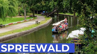 10 Orte im SPREEWALD die Du sehen solltest [upl. by Raffin153]