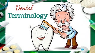 Dental terminology مصطلحات طب الاسنان [upl. by Sudnor839]