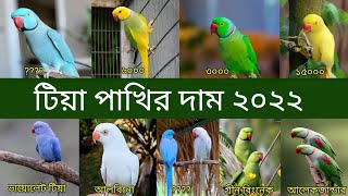 টিয়া পাখির দাম 2022  Ringneck Parrot Price In Bangladesh And India  Tia Pakhir Dam  Grow Life [upl. by Krispin]