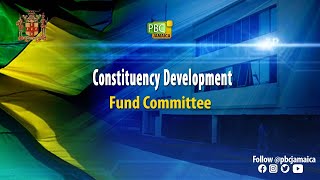 Constituency Development Fund Committee  September 17 2024 [upl. by Fish]