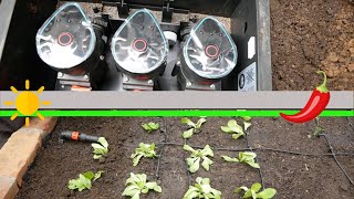 Hochbeet Bewässerung verlegen mit Gardena Ventilbox 9 V BluetoothSet und Gardena Micro Drip System [upl. by Khai]