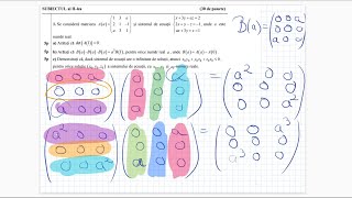 Simulare Bacalaureat 2022  Mate Info  Rezolvare Subiect [upl. by Kenlee]