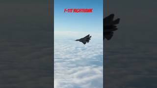 The Lockheed Subsonic F117 Nighthawk Fighter Jet in Review [upl. by Carolan445]