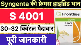 Syngenta s 4001 paddy variety  syngenta s 4001 dhan ki kheti kaise kare [upl. by Eimmot193]