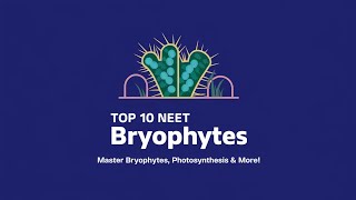 quotTop 10 NEET Biology Questions Bryophytes Photosynthesis and Plant Anatomy  NEET 2025 Prepquot [upl. by Abram]