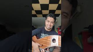 Guitar Harp review by Balawan [upl. by Kimbra666]