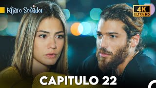 Pájaro Soñador Capítulo 22 Doblado En Español 4K [upl. by Ttennaej492]