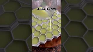 Amla cubes can store upto 1 year amla amlarecipe healthyrecipes hairfallsolution glowingskin [upl. by Ecyned717]