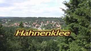 Hahnenklee Sommerrodelbahn [upl. by Blas]