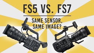 FS5 vs FS7 Shootout Same Sensor Same Image [upl. by Bratton171]