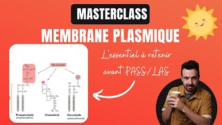 MASTERCLASS  🧫Ce quil faut retenir sur la membrane plasmique avant PASSLAS [upl. by Aubigny457]