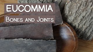 Eucommia Bark A Tonic Herb for the Bones and Joints [upl. by Saduj]