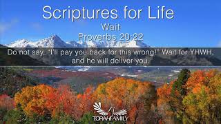 Scriptures for Life  Wait [upl. by Hadeehuat660]