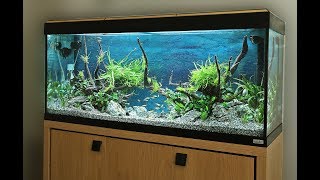 How to Aquascape a Fluval 240 Roma Nature Aquarium Planted Tank [upl. by Dazhahs]