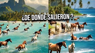 ADVERTENCIA Isla Desierta INVADIDA por caballos salvajes [upl. by Jereme89]