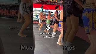 What Muay Thai Camp should you train in Thailand [upl. by Leiahtan340]