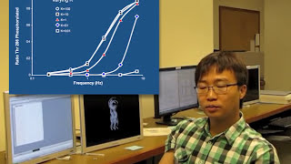 How does CaMKII sense specific calcium waves [upl. by Yknarf432]