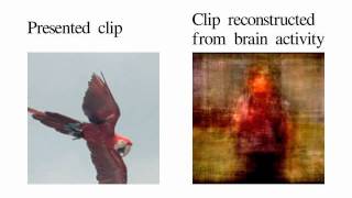 Movie reconstruction from human brain activity [upl. by Aikemaj345]