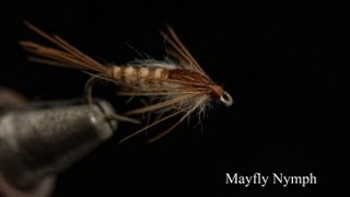 How to tie a Mayfly Nymph from Fishtec [upl. by Ringler]