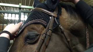 Barn Vlog Saddle fitting with Butet Saddles Canada [upl. by Ausoj591]