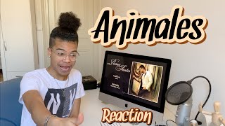 Romeo Santos Animales Ft Nicki Minaj Reaction  Mister J The Act [upl. by Hurless]