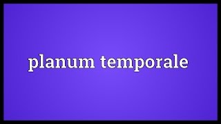 Planum temporale Meaning [upl. by Euqinot]