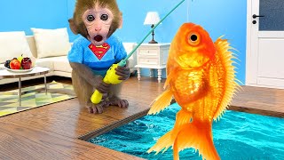 Monkey Baby Bon Bon goes fishing and bathes with ducklings in the swimming pool [upl. by Deidre]