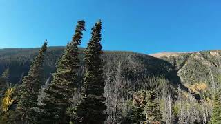 DJI Action 5 Pro Driver’s Side 4K View Of Drive Up Old Fall River Road In RMNP On 5 October 2024 [upl. by Silera]