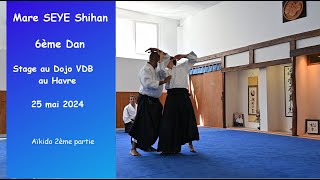 Aïkido  Mare Seye Shihan 6ème dan au Dojo VDB Mai 2024 Aikido 2ème partie [upl. by Nnylatsyrc]