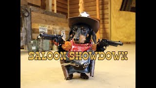 Crusoe the Cowboy Dachshund Saloon Showdown [upl. by Nenerb]