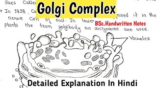 Golgi Complex  Structure amp Functions  BSc1st Year Notes science bscnotes biology [upl. by Booth]