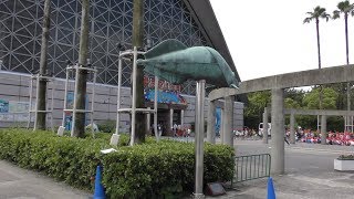 【神戸市立須磨海浜水族園2018】67木4K☆園内一周 [upl. by Rapp479]