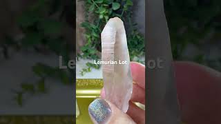 Lemurians from Diamantina 24 pcs542g tw 50 crystals minerals quartz crystalshop lemurians [upl. by Otsirc]