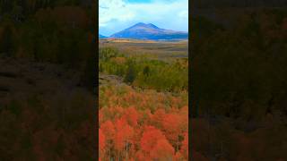 Autumn Colors Hiking Californias Northeast SierraNevada 🏔️🍂🇺🇸 hiking california autumn [upl. by Llertak]