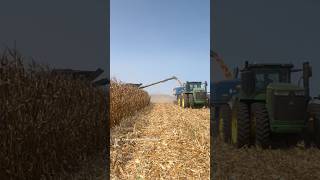 JOHN DEERE X9 1100 Combine Harvesting Corn bigtractorpower johndere combine [upl. by Jat909]