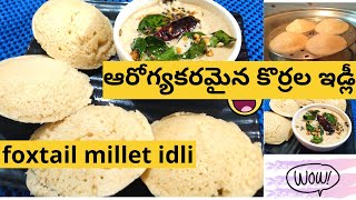 foxtail millet idli recipe  కొర్రల ఇడ్లీ by dharani cooking mania [upl. by Moishe108]