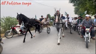 Horse racing in Pakistan horse blackhorse horseenthusiast horselover horser automobile [upl. by Selmner]