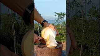 peel the yellow coconut perfectly satisfying fruit asmr [upl. by Godbeare417]