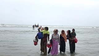 Rohingya refugees flee to Bangladesh  Voice of Vivian Tan UNHCR spokesperson [upl. by Nicolau]